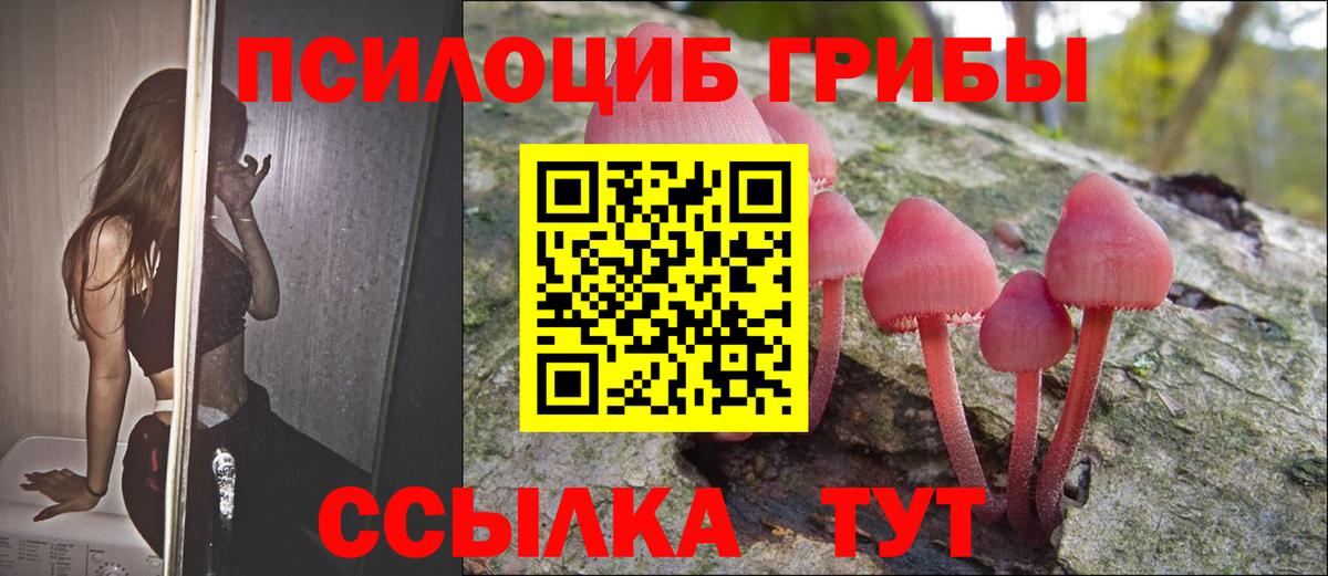 Галлюциногенные грибы Psilocybe  Вход с VPN  Соль-Илецк  Псилоцибиновые грибы прущие грибы 