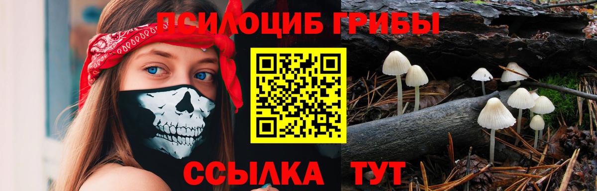 Псилоцибиновые грибы мицелий Соль-Илецк