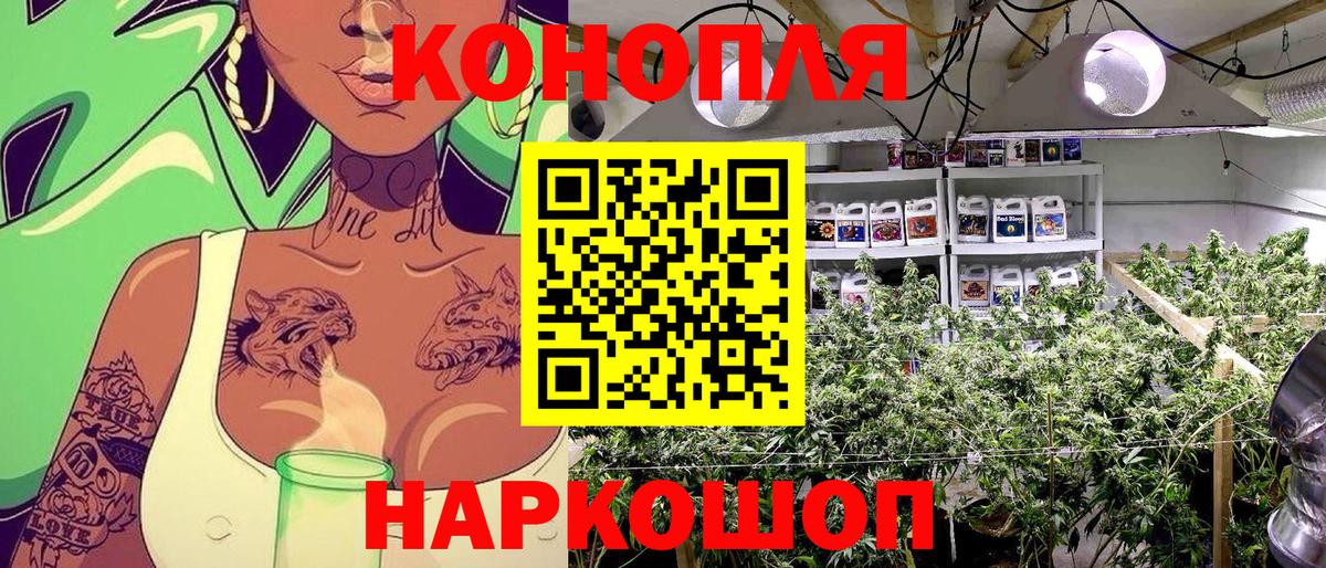 Бошки Шишки конопля  Вход с VPN  Соль-Илецк  Каннабис MAZAR  Шишки марихуана сатива 